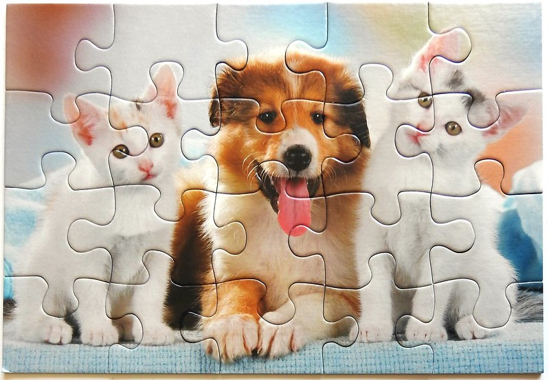 A puppy centered between two white kittens against a soft-focus background.