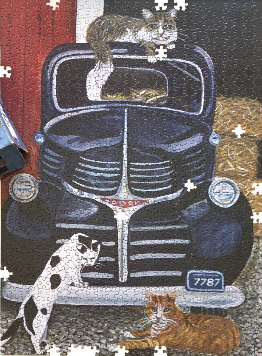 A black vintage pickup truck parked in a barn with three cats.
