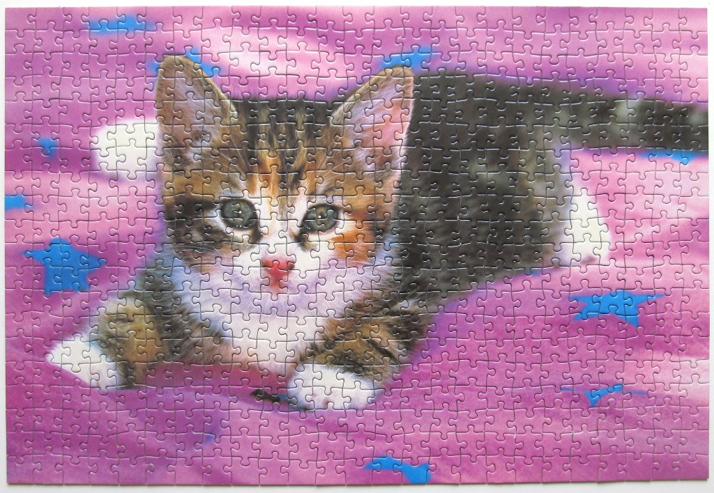 A cute tabby kitten resting on a vibrant pink background decorated with blue and white stars.