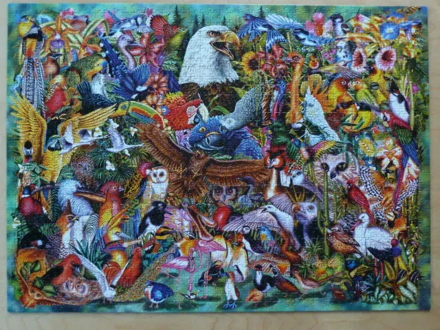 A dense illustration filled with dozens of colorful birds in a jungle setting.