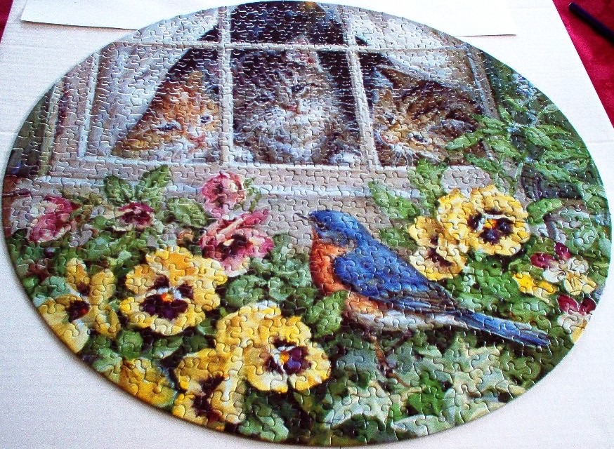 Three cats looking through a window at a garden with a bluebird and colorful pansies in a circular frame.