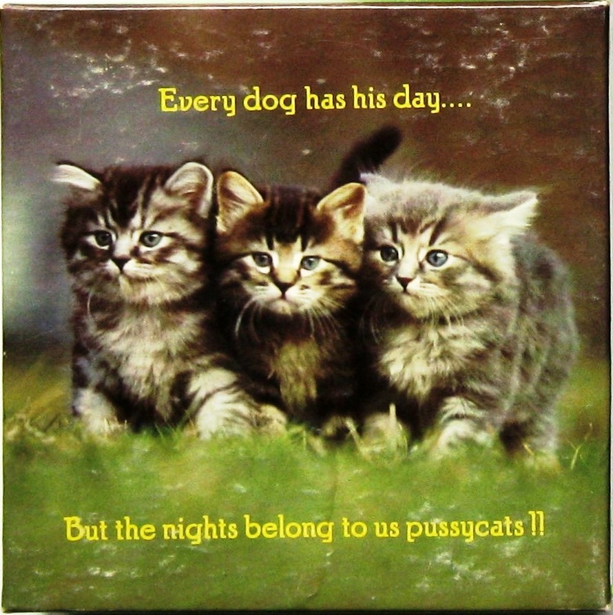 Three fluffy kittens huddled together in grass with text overlays.