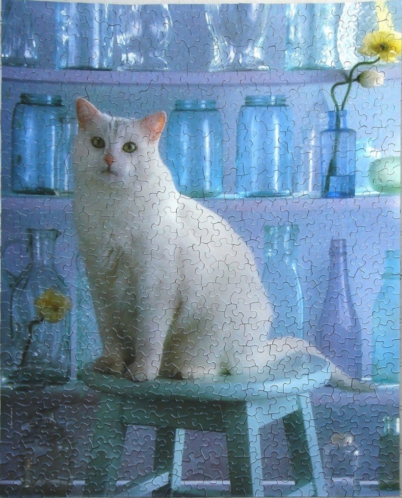 A white cat sitting on a blue stool in front of shelves filled with blue glass bottles.