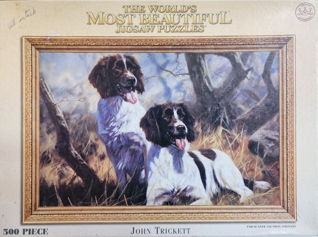 Painting of two liver and white Springer Spaniels in a woodland setting.