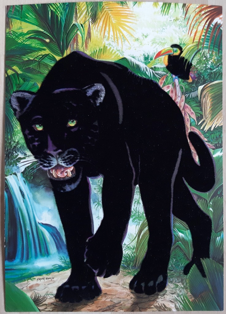 A black panther walking through a lush jungle, with a toucan perched behind it and a waterfall in the background.