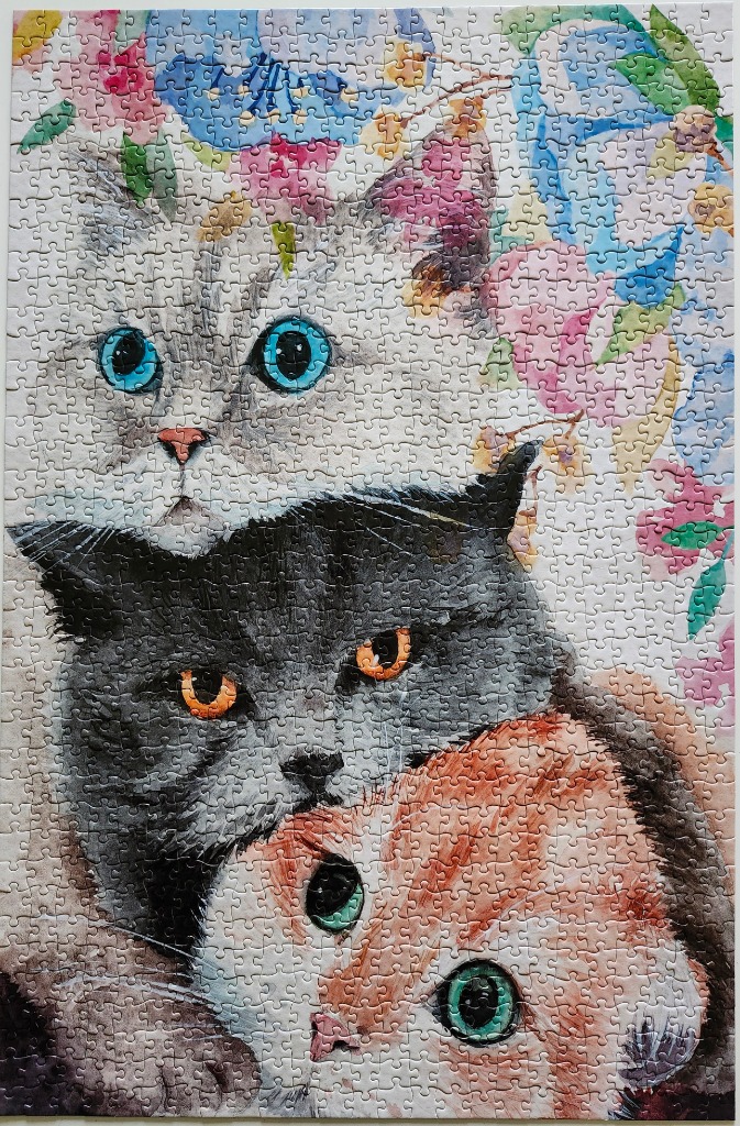 An illustration of three cats stacked vertically against a floral background.