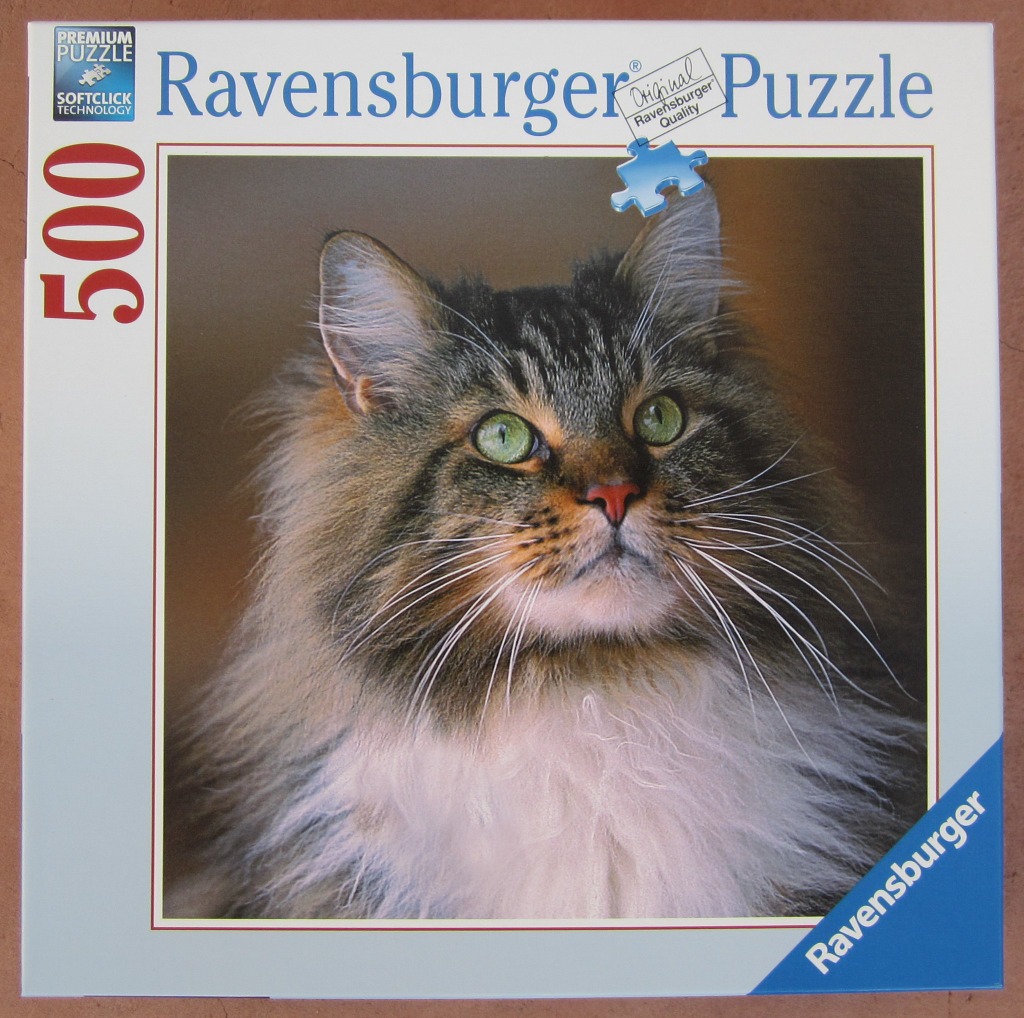 Close-up portrait of a long-haired cat with green eyes and brown tabby fur