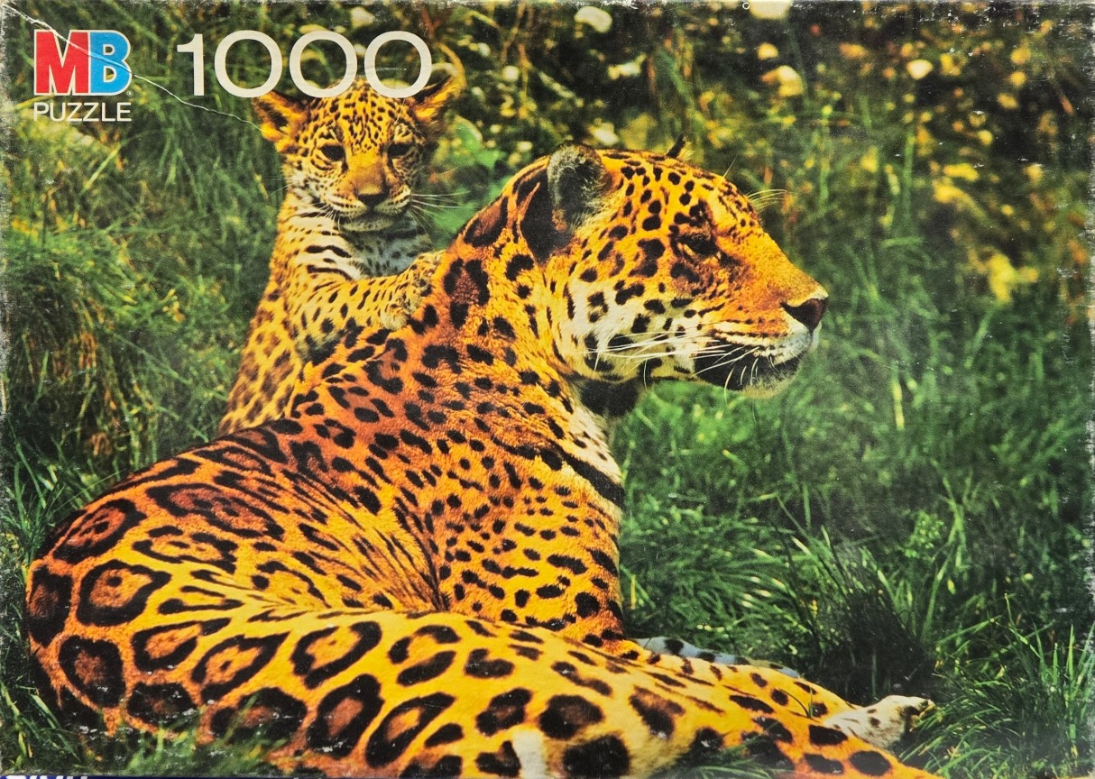 A mother jaguar and her cub resting in tall green grass.