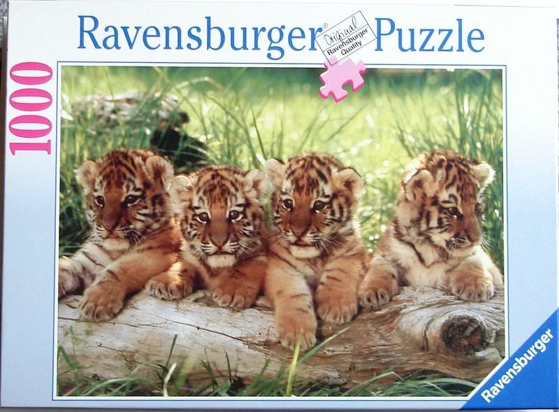 Four tiger cubs resting side-by-side on a large log in a grassy meadow.