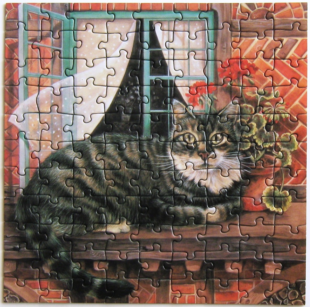 A tabby cat resting on a wooden ledge in front of an open window with red geraniums.