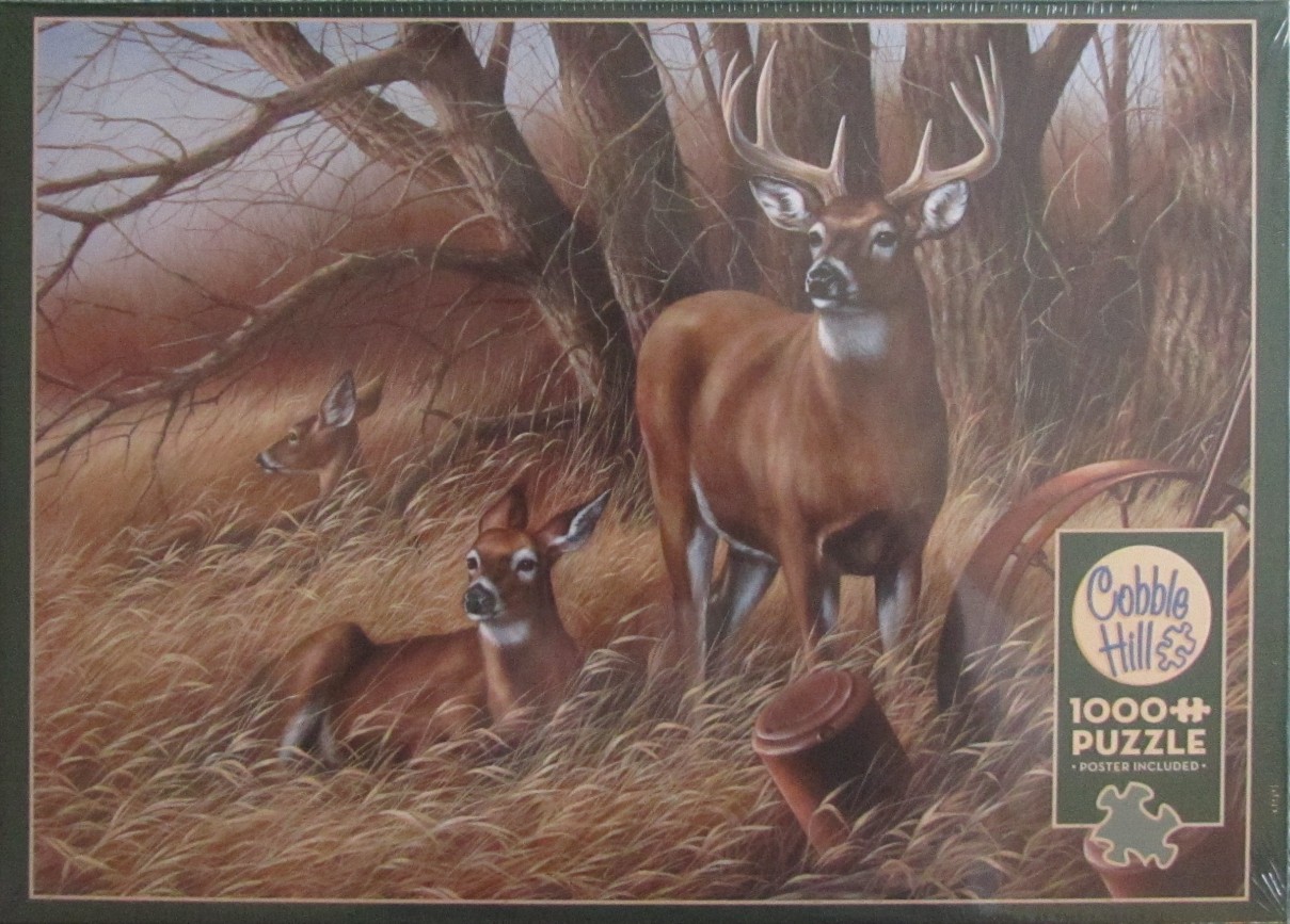 A buck and two does in tall dry grass in a forest setting.