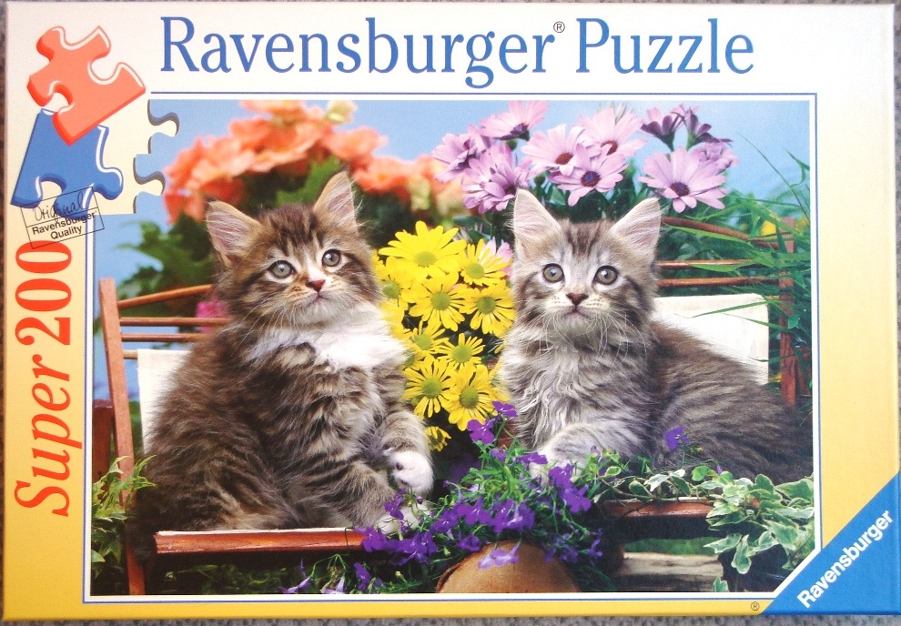 Two fluffy tabby kittens sitting on a wooden bench surrounded by vibrant, colorful flowers.