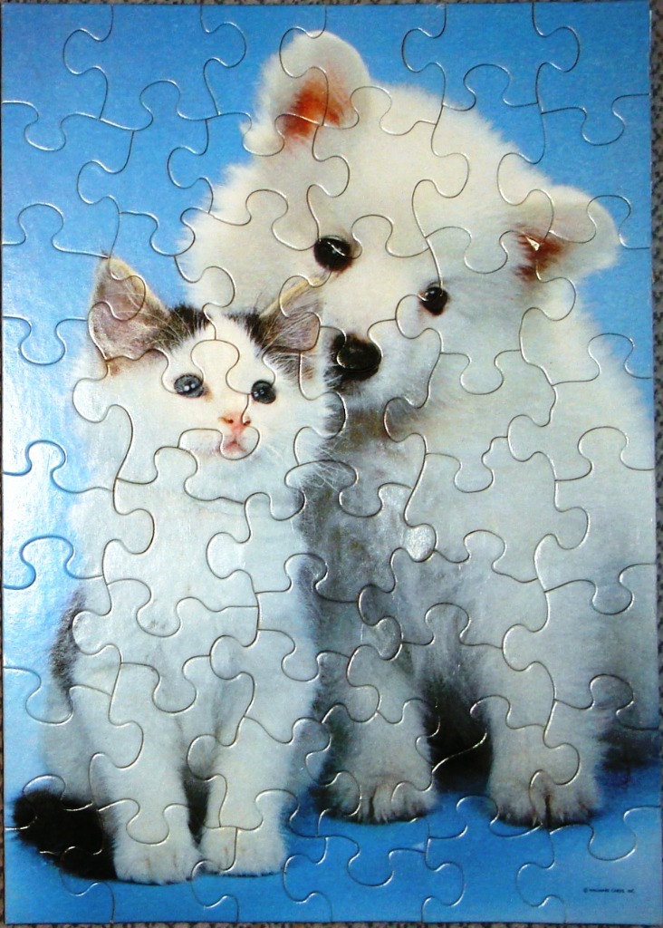A fluffy white puppy and a black and white kitten sitting together against a blue background.