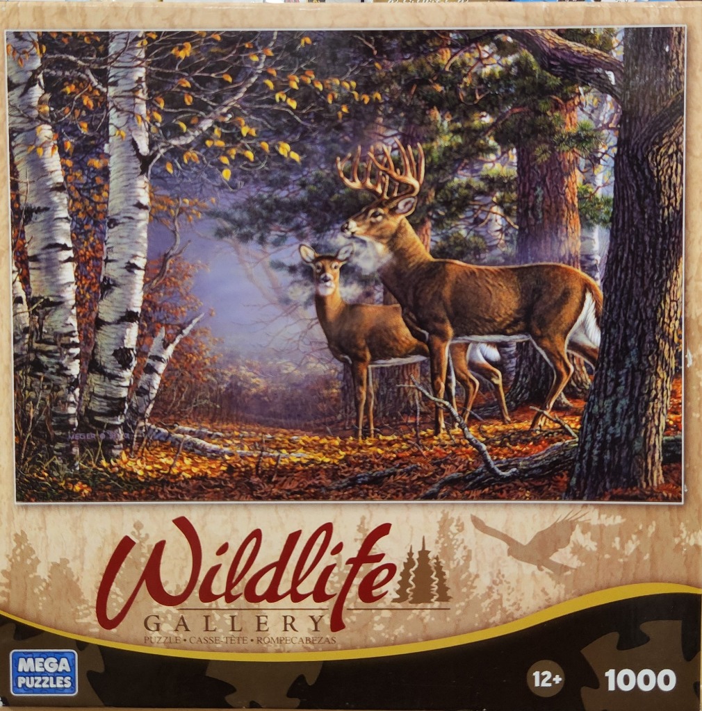 A white-tailed buck and doe standing in an autumn forest with birch trees.