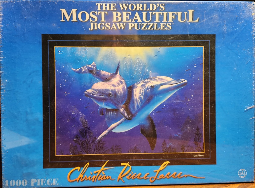 Two dolphins swimming in a deep blue, sun-dappled ocean