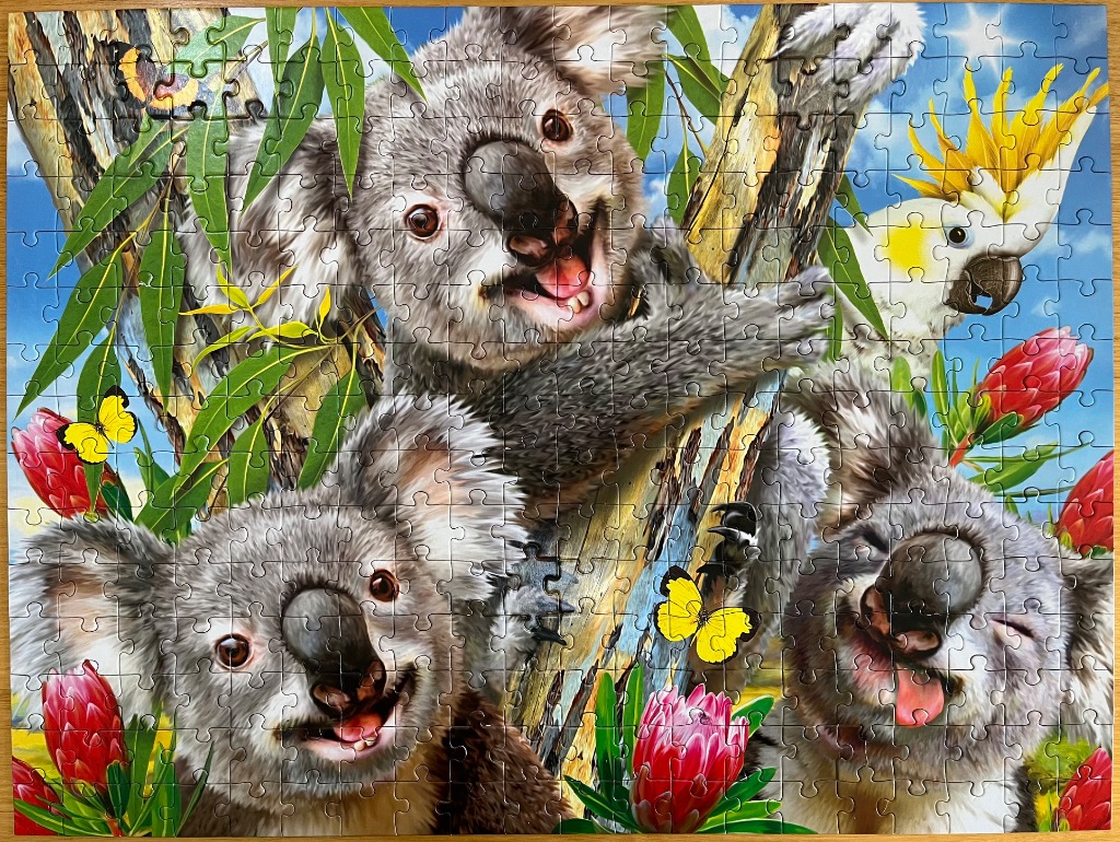 An illustration of three happy koalas and a cockatoo in a eucalyptus tree with flowers and butterflies.