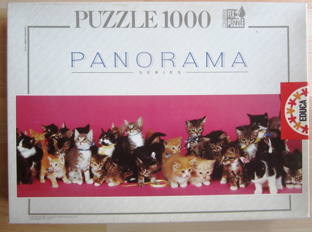 A group of many different kittens posing together against a solid pink background.