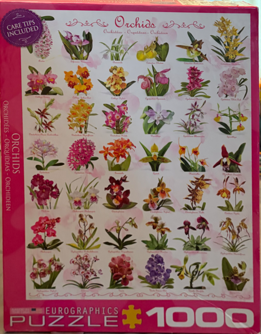 A botanical collection of various orchid species arranged in a grid on a white background.