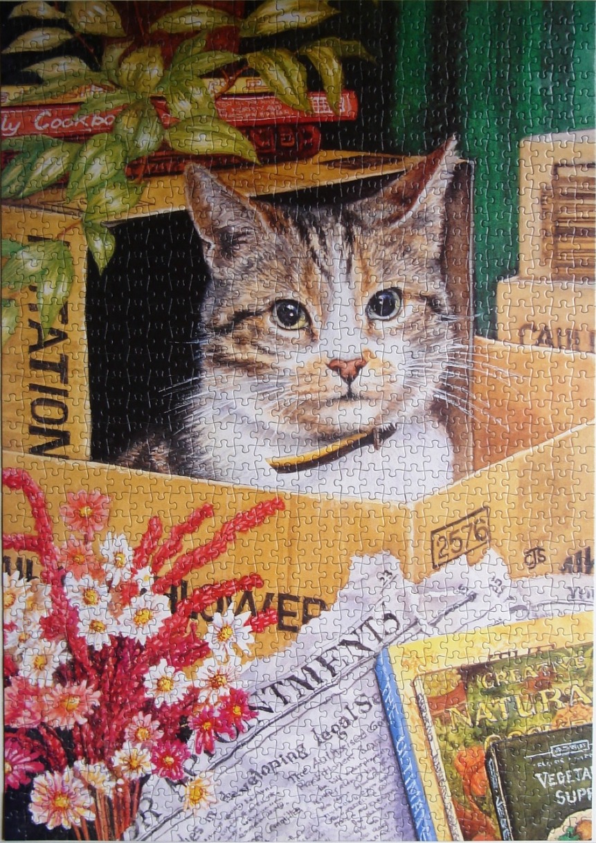 A tabby cat sitting inside a cardboard box surrounded by books and flowers.