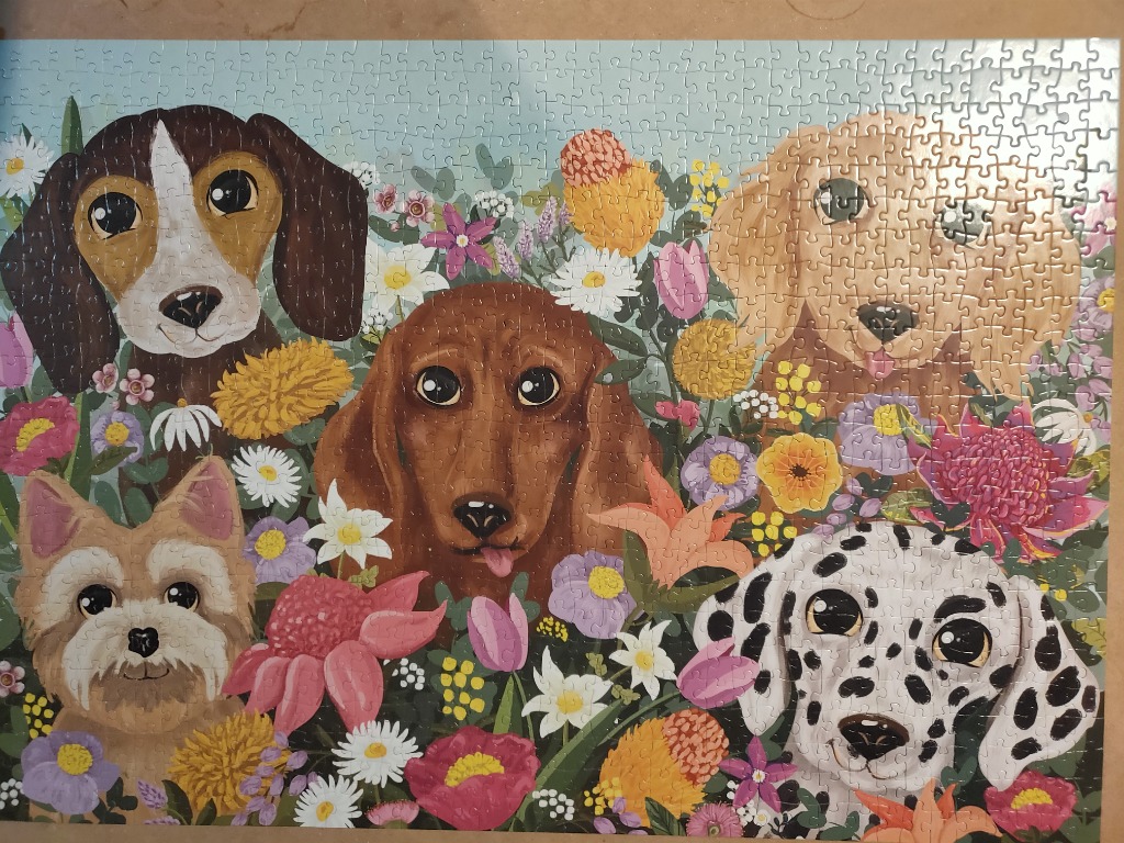 Illustration of four adorable dogs surrounded by colorful flowers against a soft blue background.