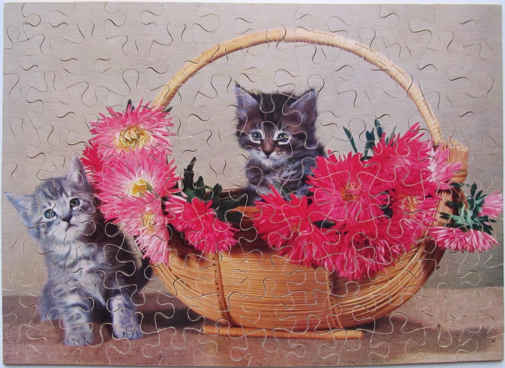 Two fluffy kittens with a woven basket full of vibrant pink asters