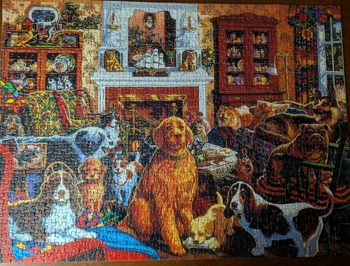 A cozy, cluttered living room filled with many different breeds of dogs resting on furniture and the floor.