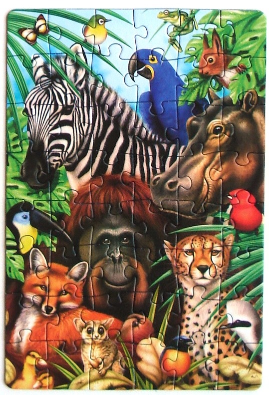 A lush illustration featuring a variety of wild animals including a zebra, orangutan, cheetah, and blue macaw.