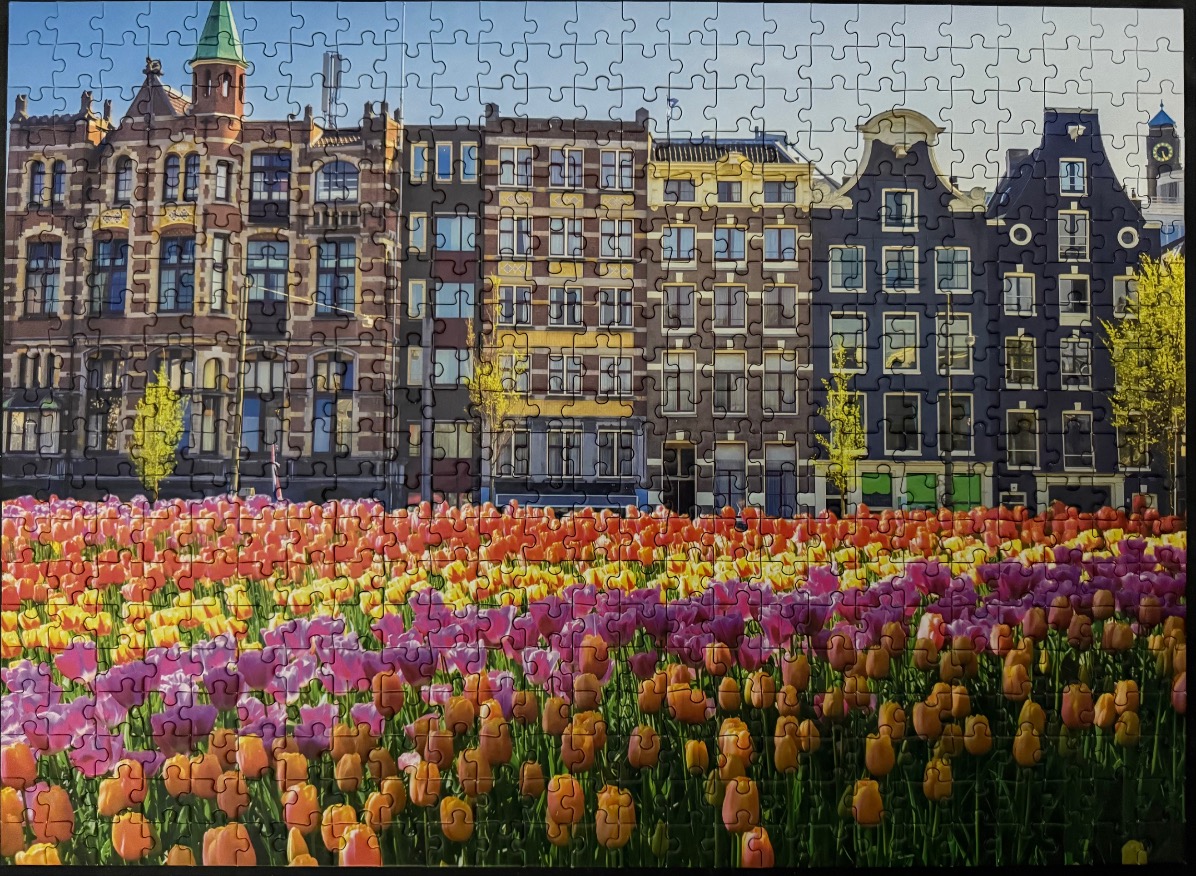 A row of historic canal houses in Amsterdam behind a vast, vibrant field of multicolored tulips.