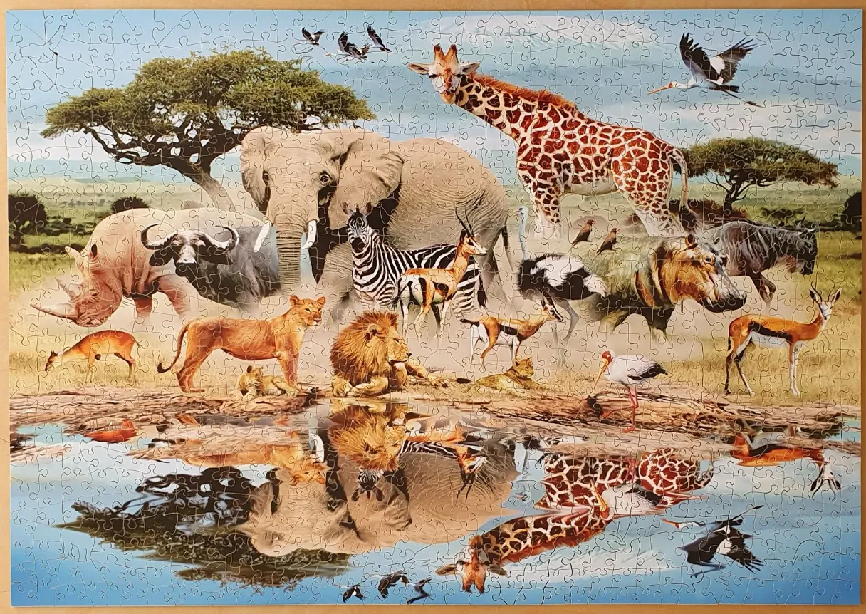 An illustration of various African savanna animals gathering around a water hole.
