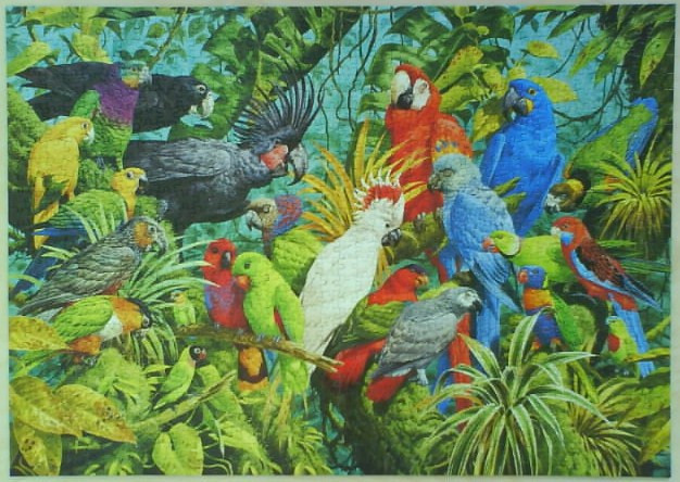 A lush rainforest scene densely packed with a wide variety of colorful parrots and cockatoos.