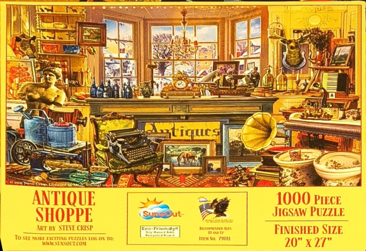 An illustration of a cluttered, sun-drenched antique shop filled with vintage items and snow visible through the windows.