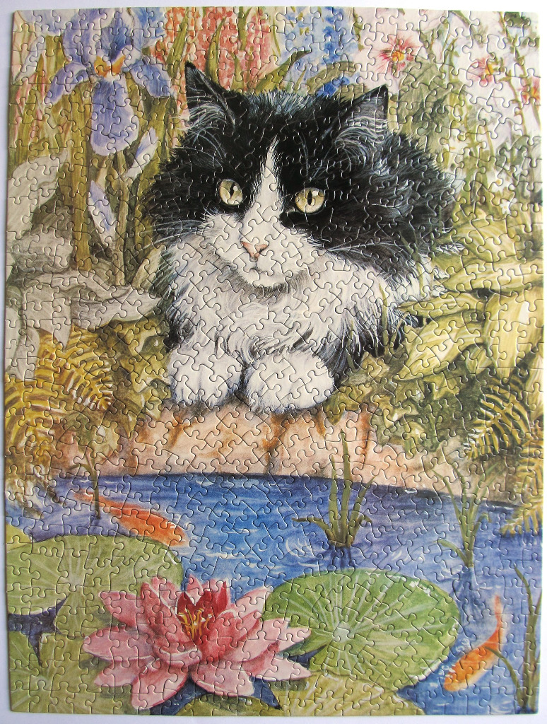 A long-haired black and white cat sitting behind a pond with water lilies and koi fish.