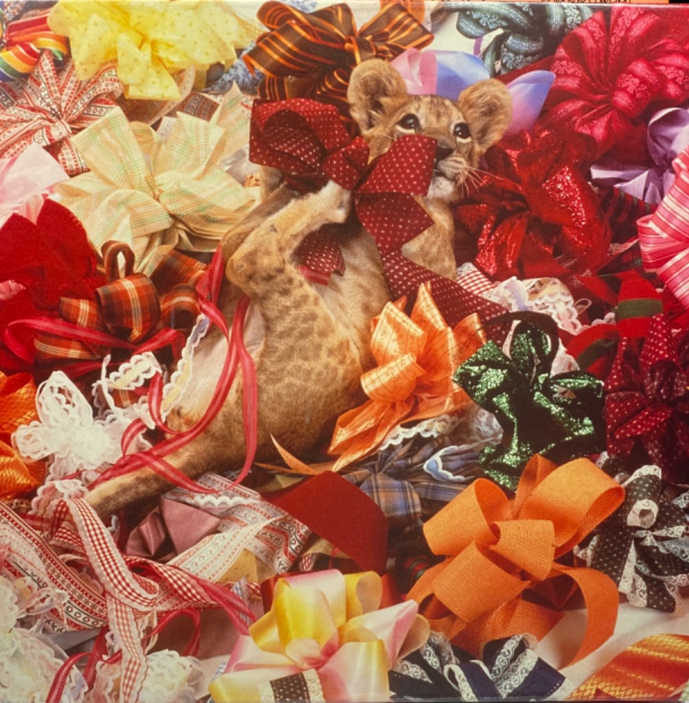 A lion cub surrounded by an array of colorful decorative ribbons and bows