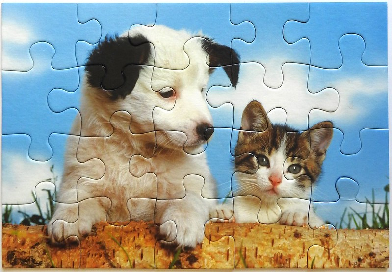 A puppy and a kitten perched together on a log against a bright blue sky.