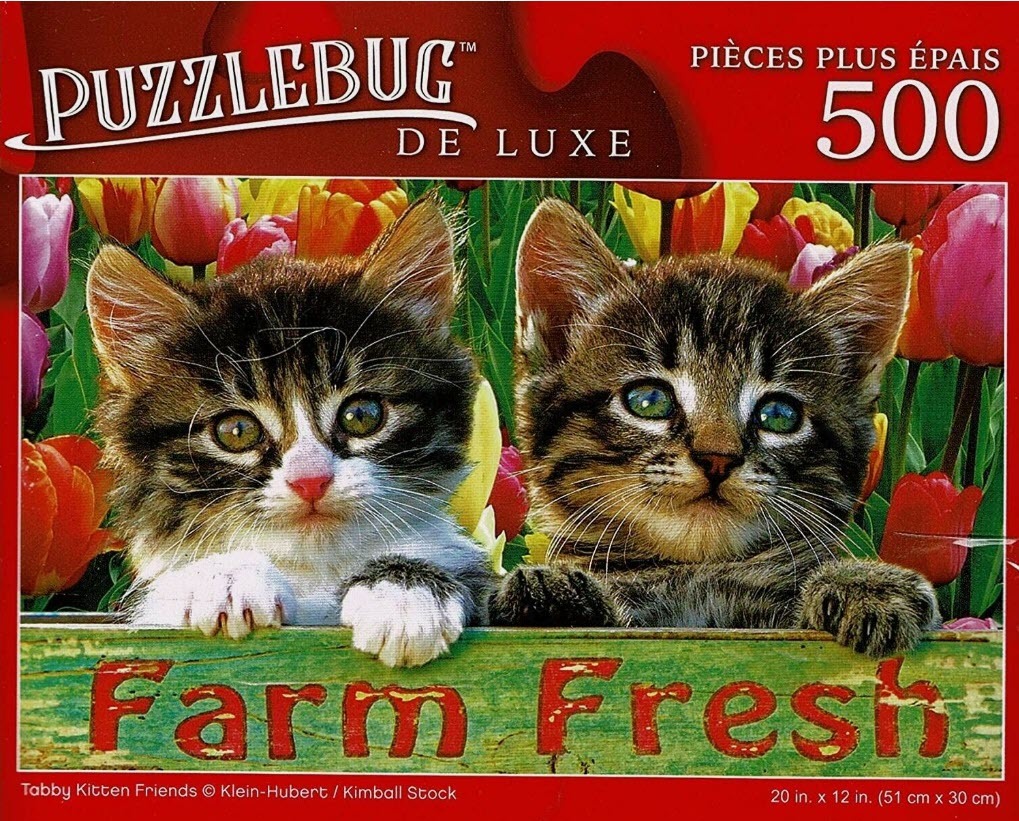 Two tabby kittens peeking over a weathered green wooden crate filled with colorful tulips.