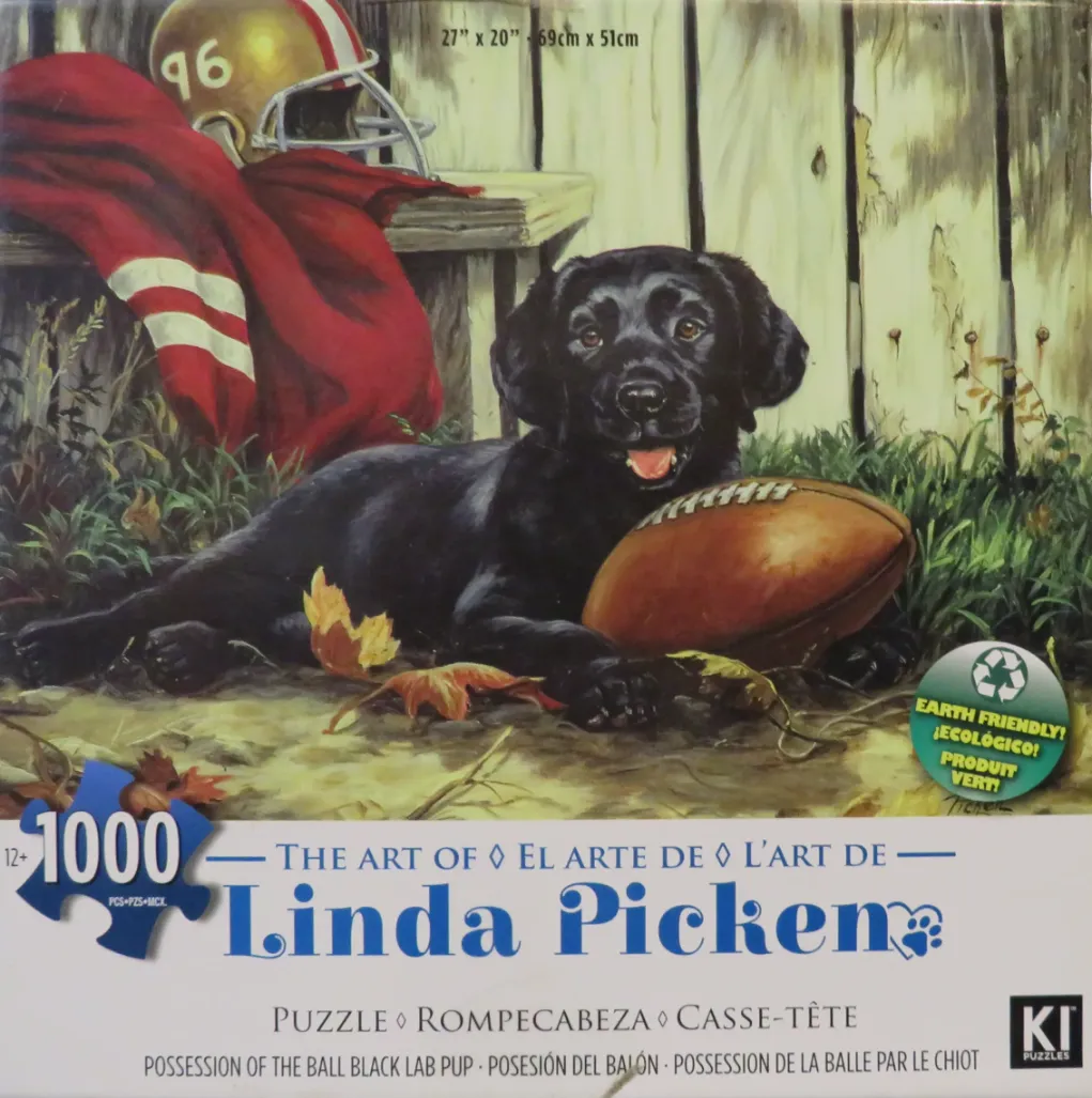 Possession of the Ball Black Lab Pup