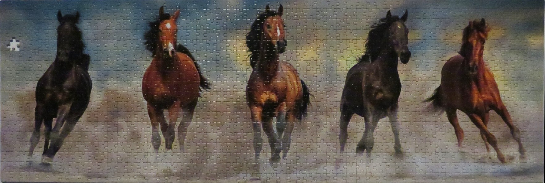 Five horses running forward against a cloudy, misty backdrop
