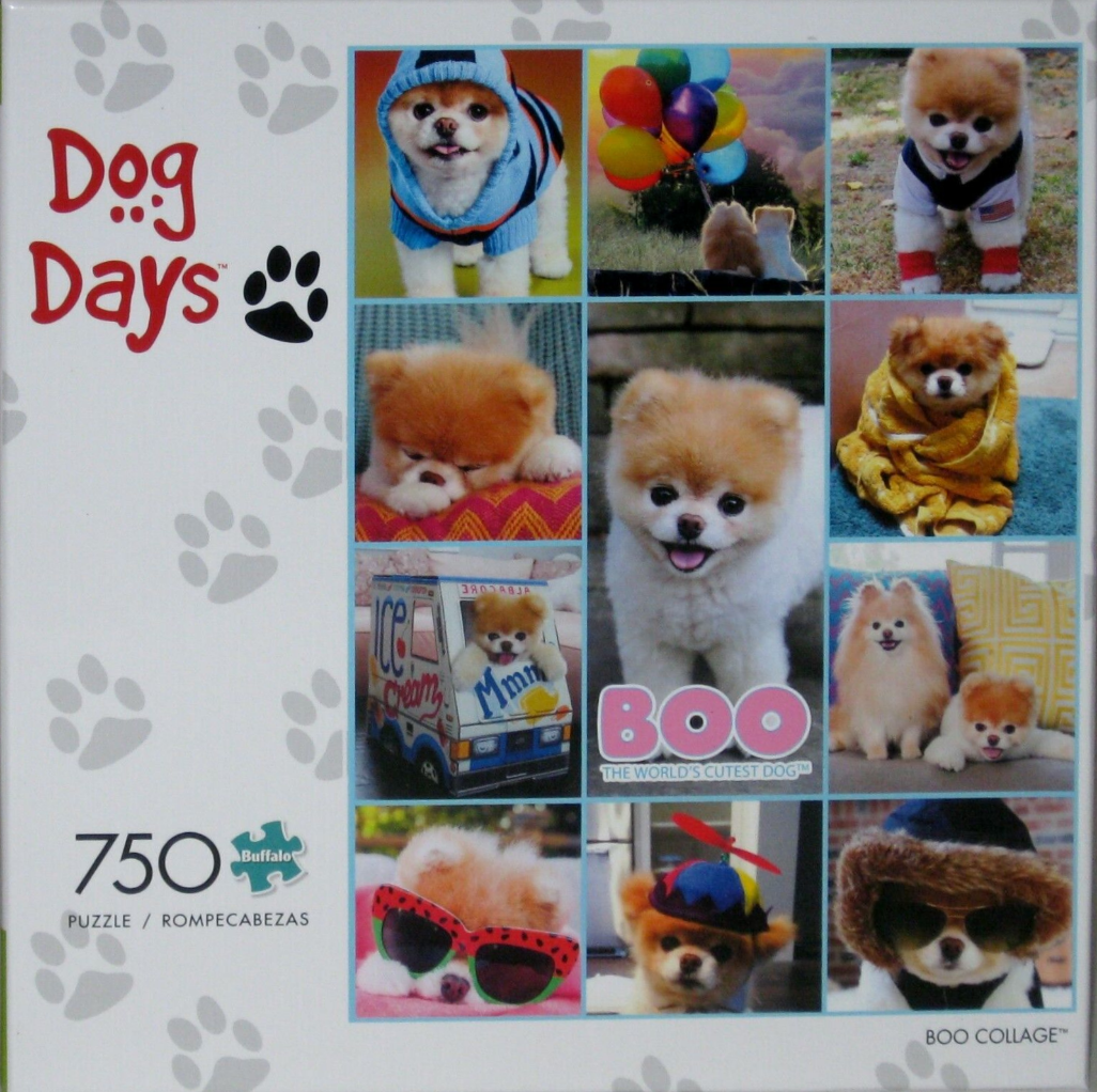 A collage of nine photographs featuring Boo, the famous Pomeranian dog, dressed in various outfits and settings.
