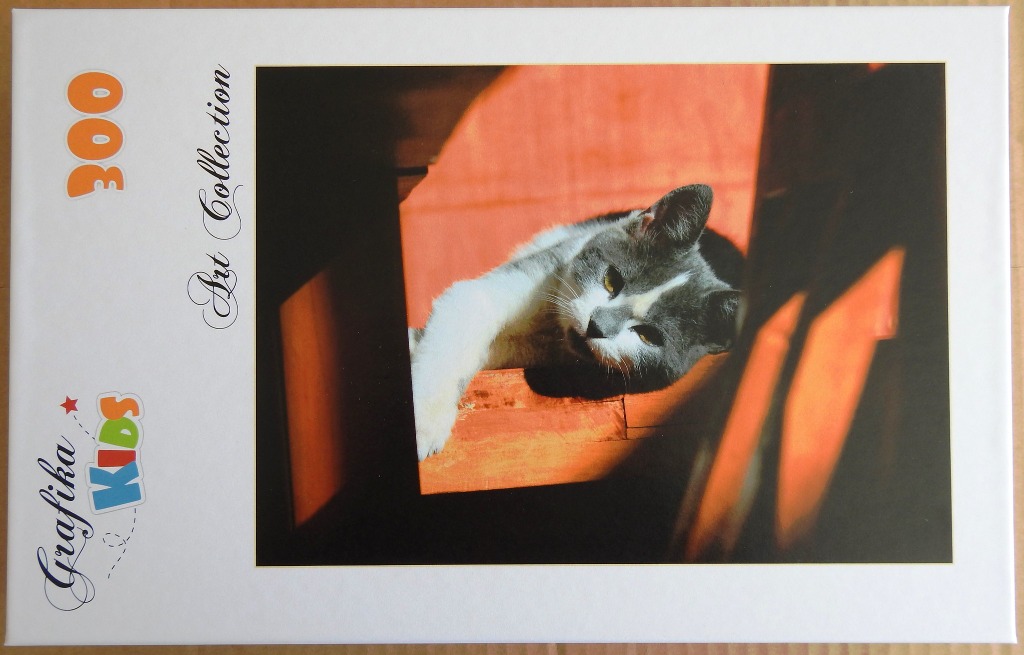 A grey and white cat resting inside a small wooden opening, bathed in warm orange light.