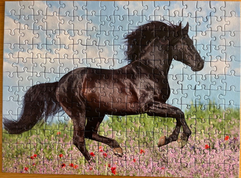 A black Friesian horse galloping through a wildflower field against a cloudy blue sky.