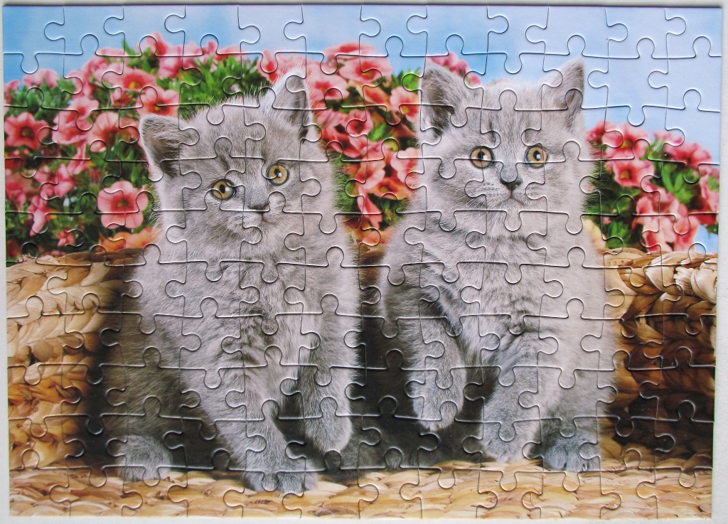 Two fluffy grey kittens sitting side-by-side in a woven basket in front of pink flowers.