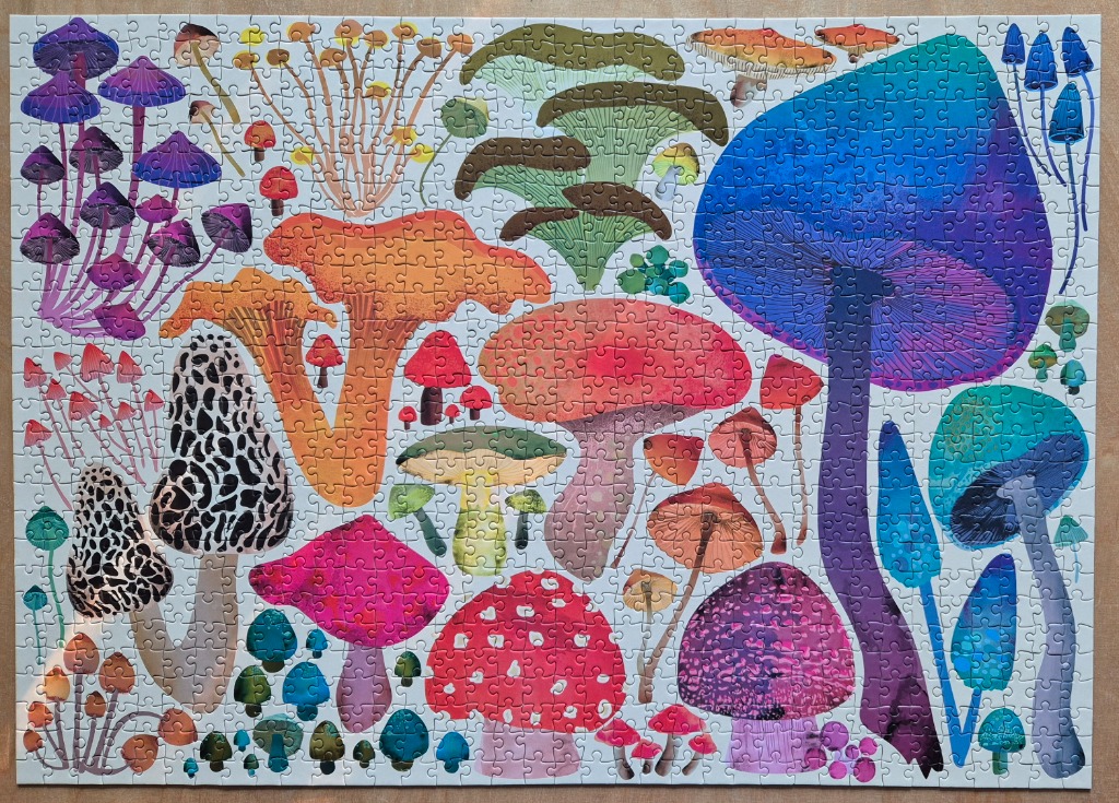 An illustrated collection of diverse mushrooms in vibrant, varied colours on a pale background.