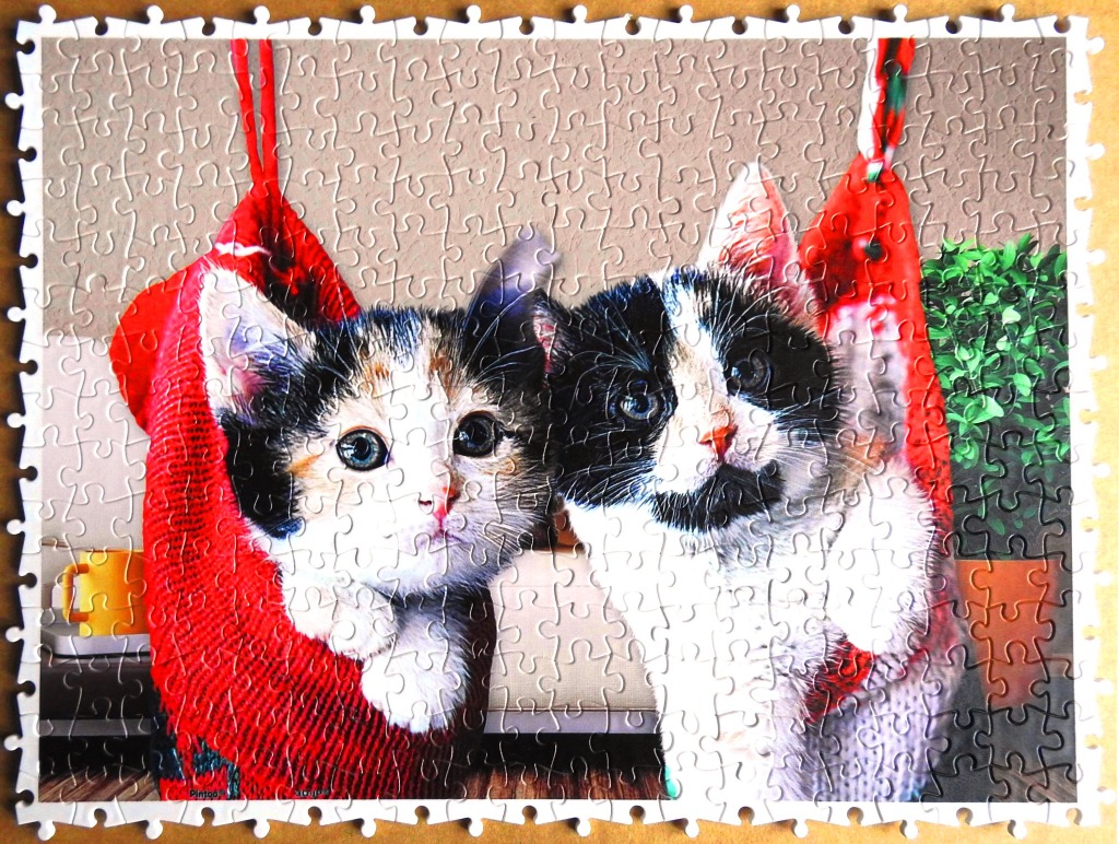 Two kittens peeking out of bright red Christmas stockings hung against a neutral wall.