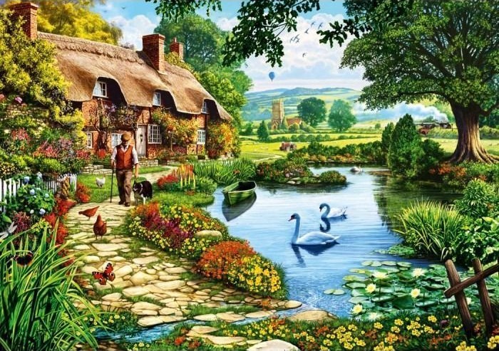 A man walking his dog by a stone cottage and a pond with swans