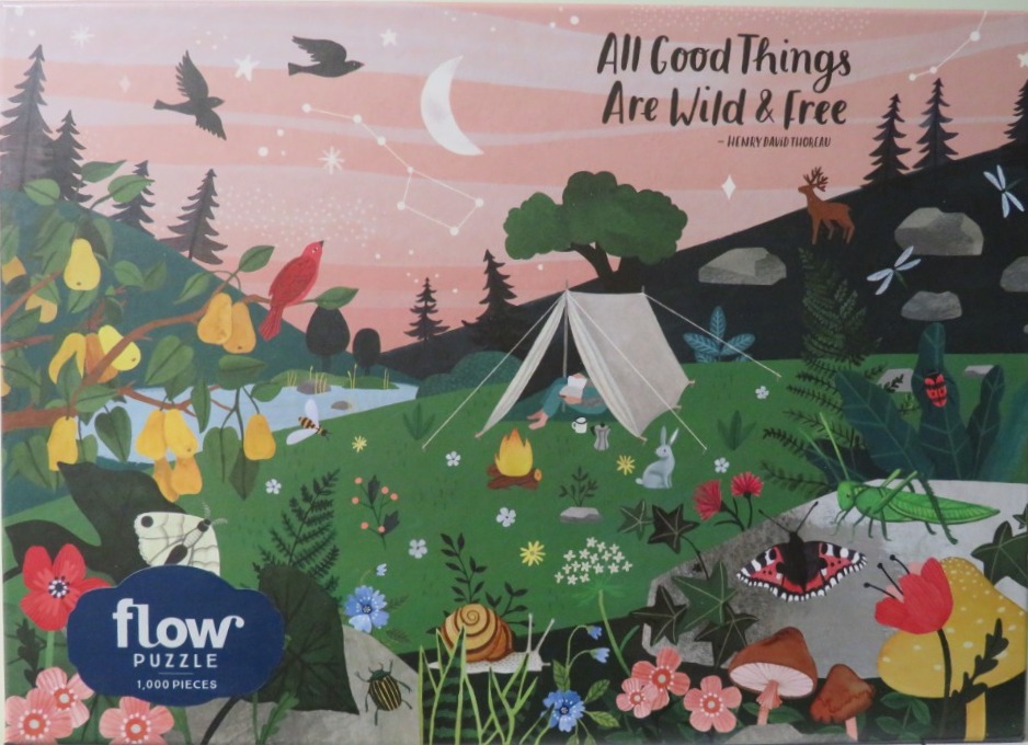 Whimsical illustration of a person camping under a sunset sky with wildlife, insects, and flora.