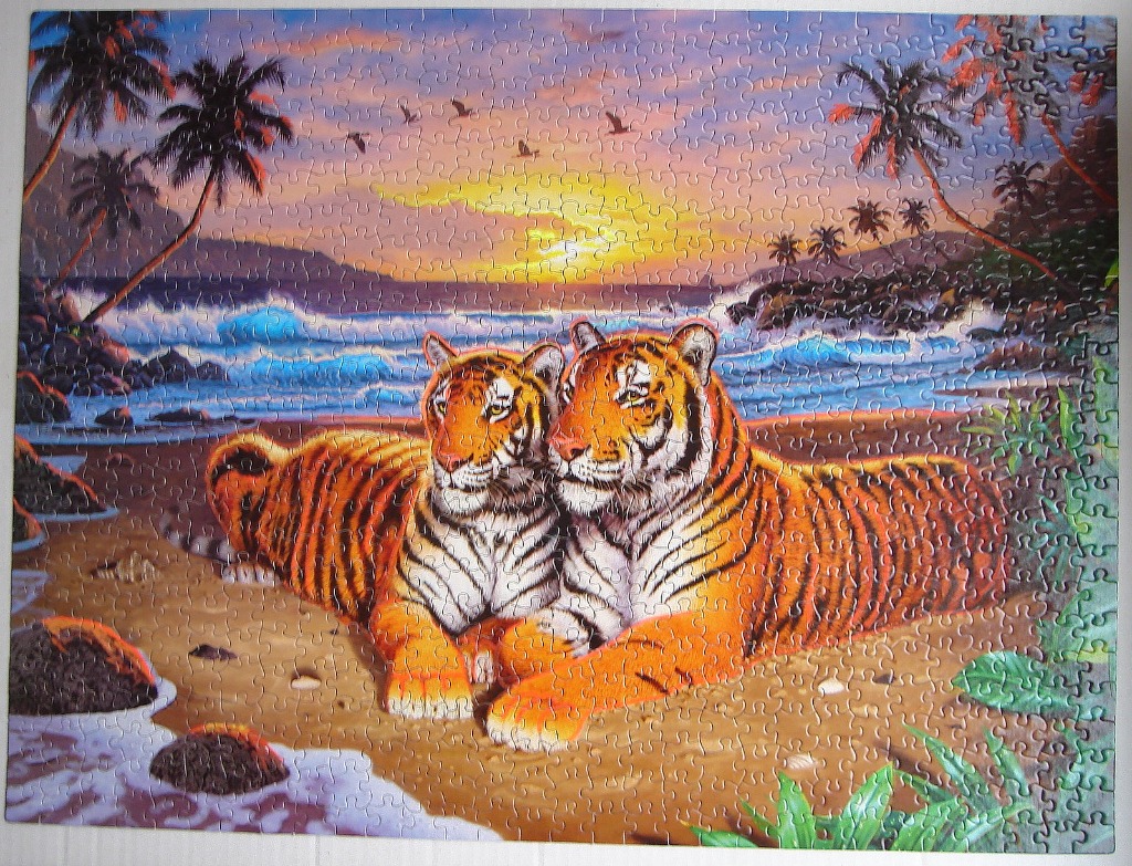 Two tigers resting on a tropical beach at sunset