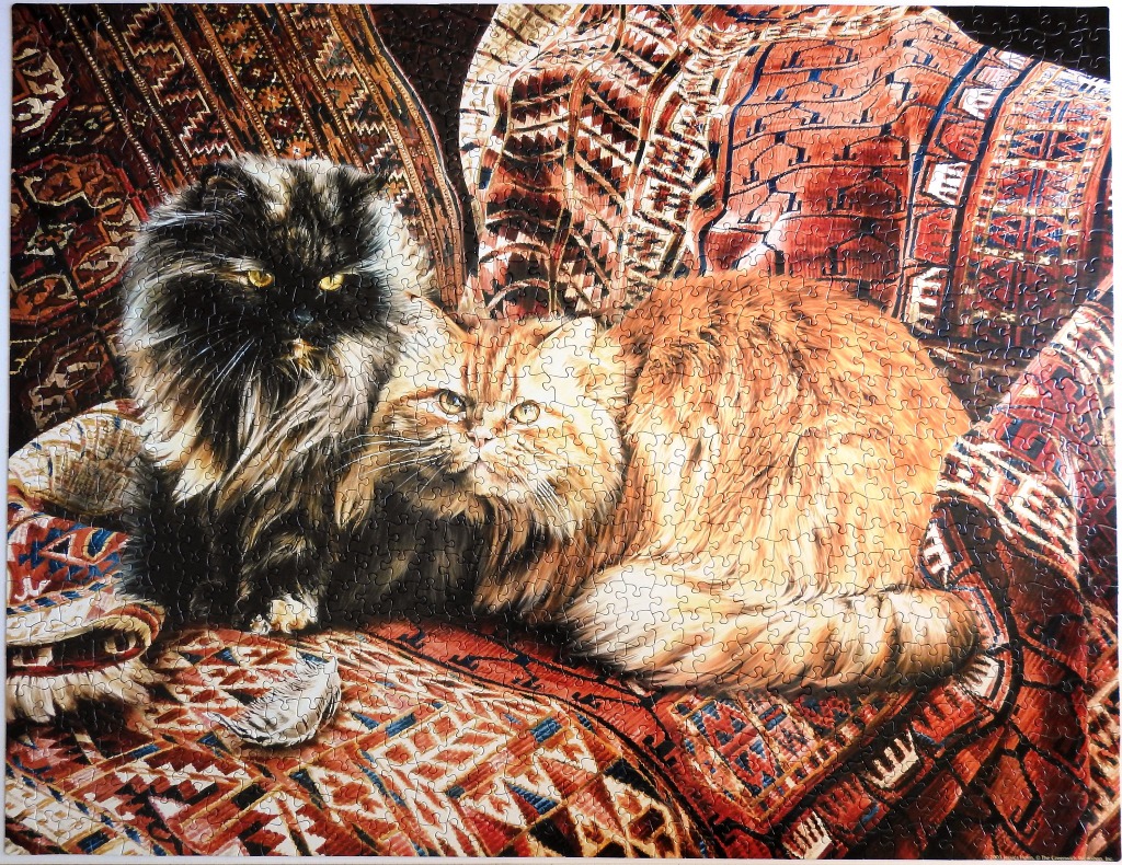 A black long-haired cat and an orange tabby cat resting on a patterned rug.