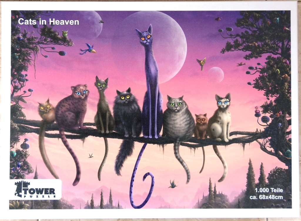 A whimsical illustration of seven cats of various shapes and colors sitting on a branch against a pink twilight sky.