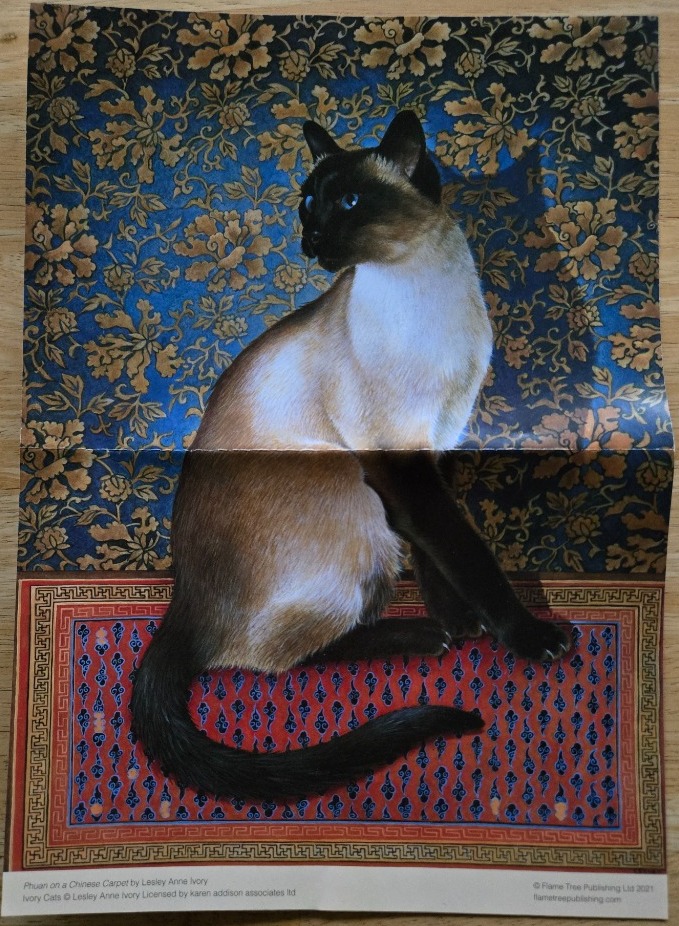 A Siamese cat sits on a patterned rug against a dark blue floral backdrop.