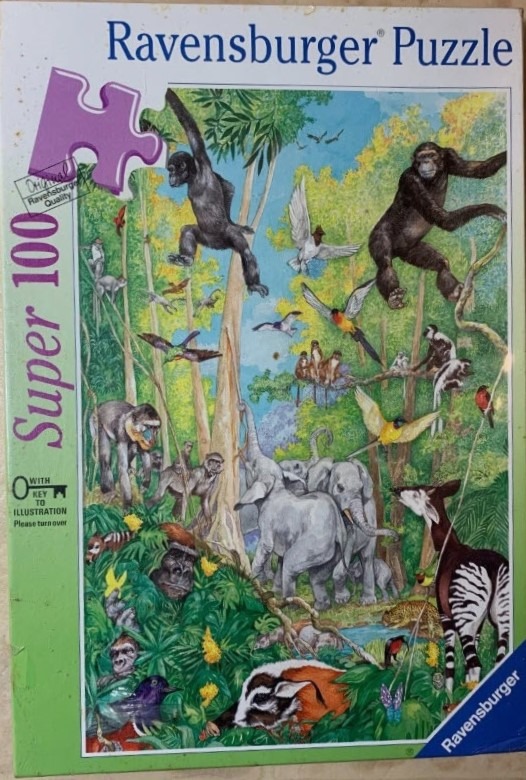 A lush jungle scene filled with various animals including monkeys, chimpanzees, elephants, and an okapi.